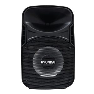 CABINA HYUNDAI HYSPBT100 100W BT